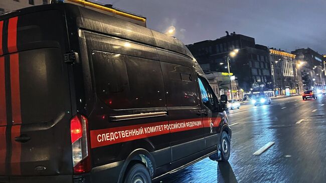 В Петербурге проверят сообщение об избиении девочки одноклассниками