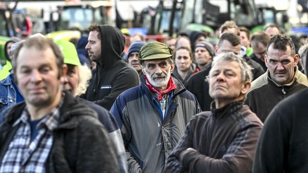 Бельгийские фермеры на акции протеста с требованием улучшения доходов и условий труда