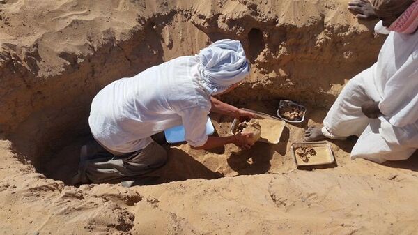 Археологи впервые обнаружили случай ревматоидного артрита в Древнем Египте