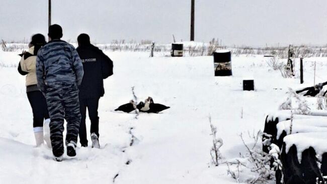 Волонтеры вызвали на место содержания животных полицию