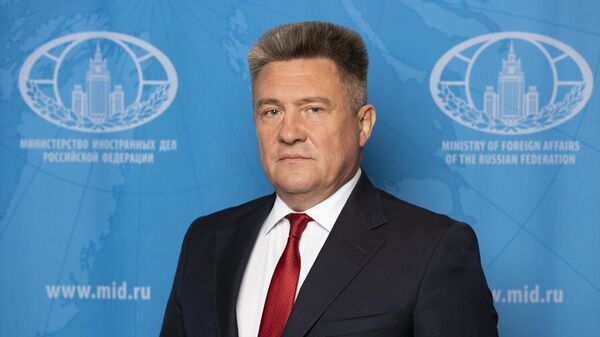 Директор департамента дипломатическо-курьерской связи МИД РФ Виктор Попов