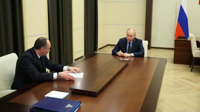 Президент РФ Владимир Путин и председатель правления энергетической компании Интер РАО Борис Ковальчук во время встречи