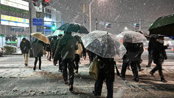 Снегопад в Токио. 5 февраля 2024