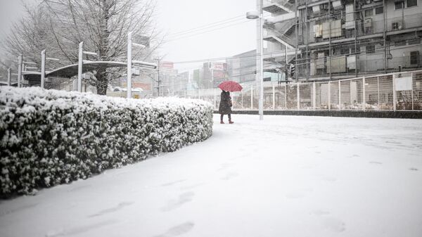 Снегопад в префектуре Канагава к юго-западу от Токио. 6 февраля 2024