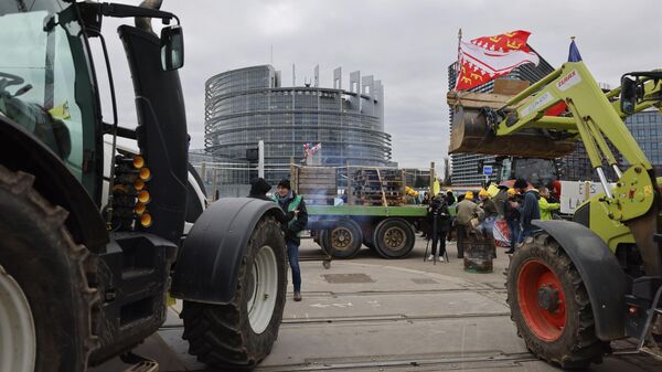 Фермеры во время акции протеста возле здания Европейского парламента в Страсбурге