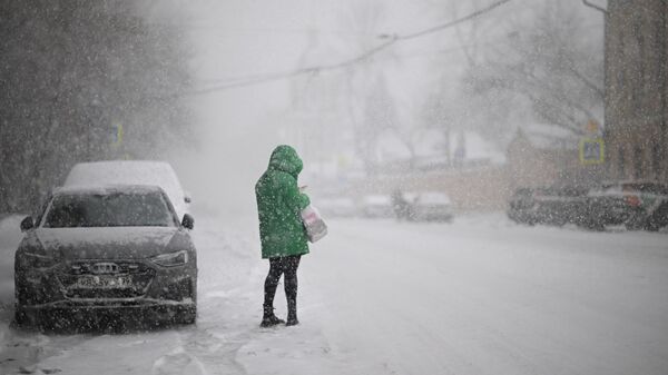 Женщина стоит на дороге во время снегопада в Москве