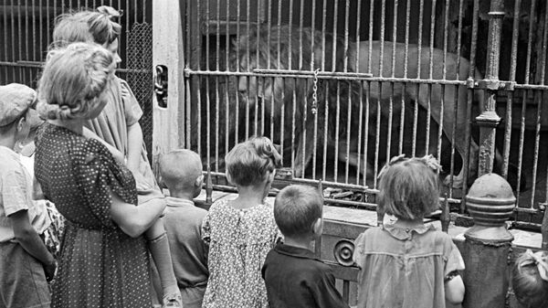 Посетители московского зоопарка у клетки со львом. 1944 год