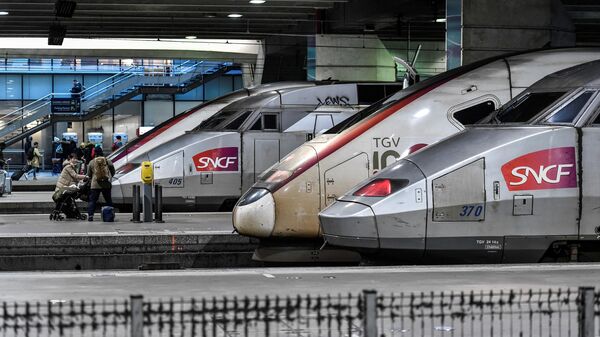 Поезда на вокзале Монпарнас в Париже во время забастовки сотрудников компании SNCF