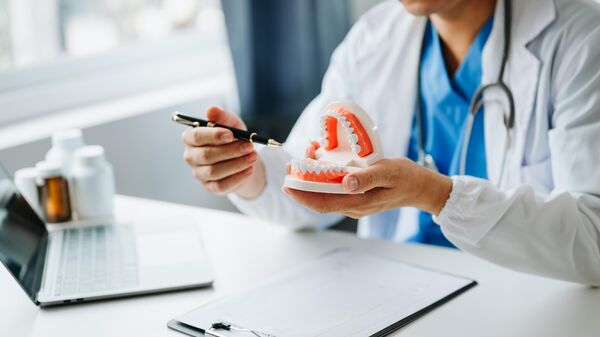 Стоматолог с моделью зубов