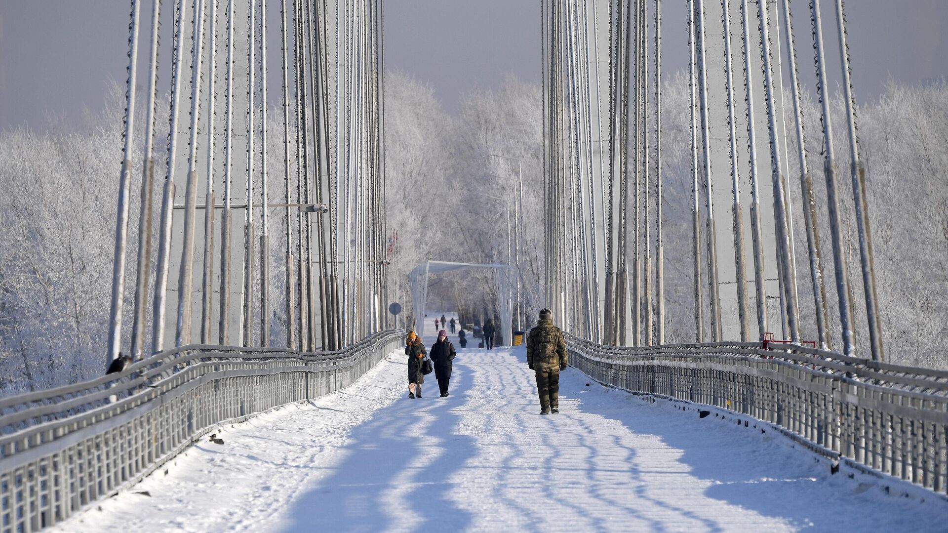 Люди гуляют по Виноградовскому пешеходному мосту в Красноярске - РИА Новости, 1920, 09.02.2024