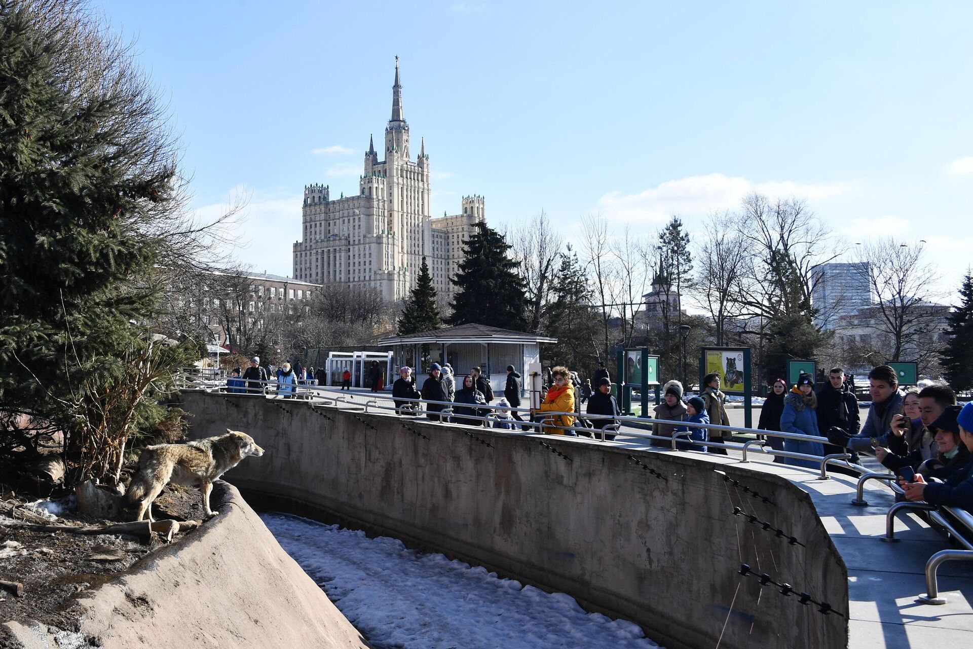 Московский зоопарк - РИА Новости, 12.02.2024