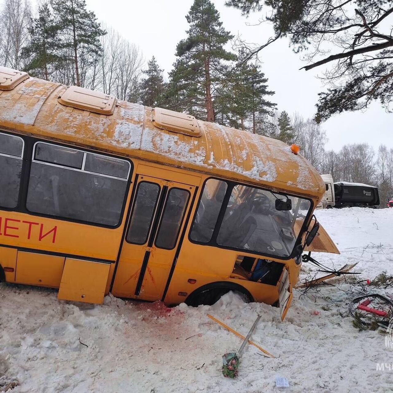 Тринадцать детей пострадали в ДТП в Псковской области - РИА Новости,  12.02.2024