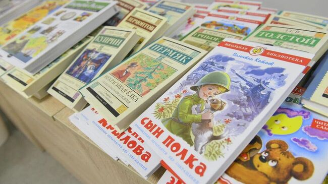 Соцучреждения Омской области собрали более 100 книг детям города Стаханов ЛНР