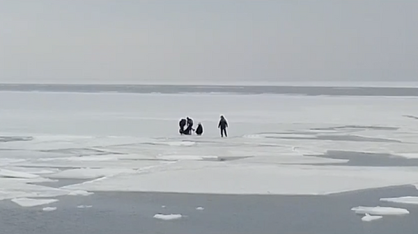 Группа школьников, оказавшихся на льдине во Владивостоке