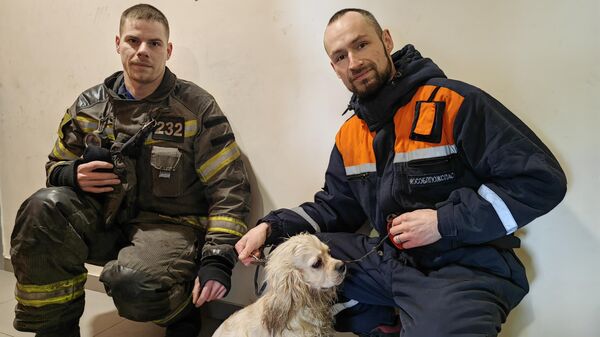 Сотрудники экстренных служб со спасенным спаниелем в подмосковном Томилино