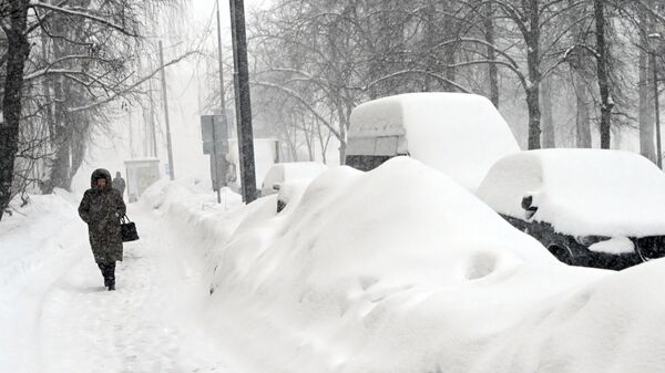 Синоптик рассказал, когда в Москве растает снег
