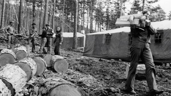 Строители БАМа, живущие в палаточном посёлке Звёздный, заготавливают дрова