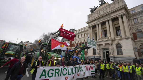 Фермеры перед Министерством сельского хозяйства во время акции протеста в Мадриде. 15 февраля 2024