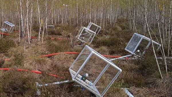 Бар и атмосфера покровка 19. Yato набор для замера компрессии. Вестибюль кафе. Брутальный бар. Прожектор 18 век.