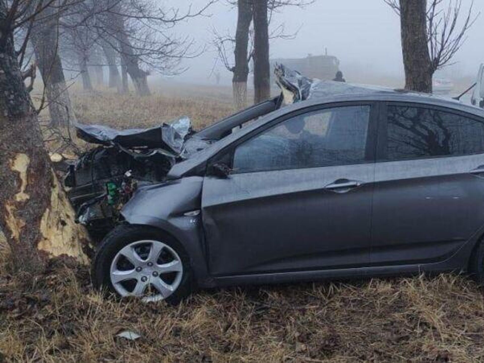 На трассе в КБР произошло ДТП с лошадью, есть погибшие - РИА Новости,  16.02.2024