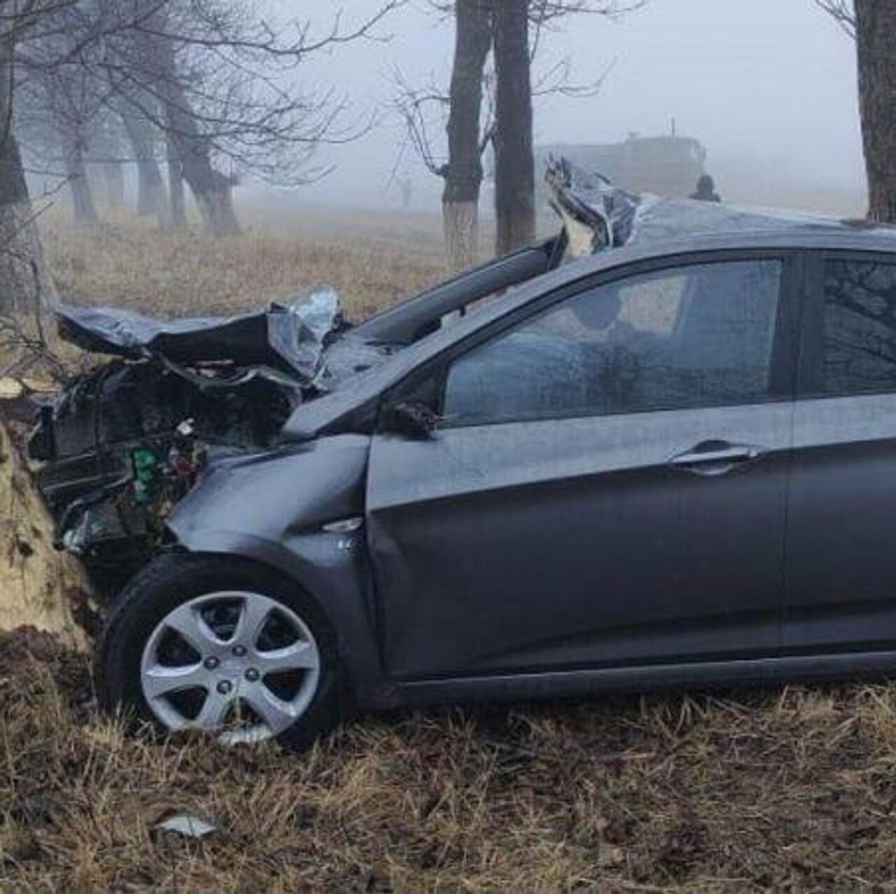 На трассе в КБР произошло ДТП с лошадью, есть погибшие - РИА Новости,  16.02.2024