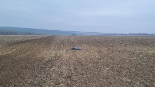 Обломки дрона на юге Молдавии