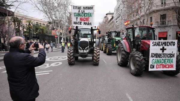Колонны из нескольких сотен тракторов стекаются в центр Мадрида