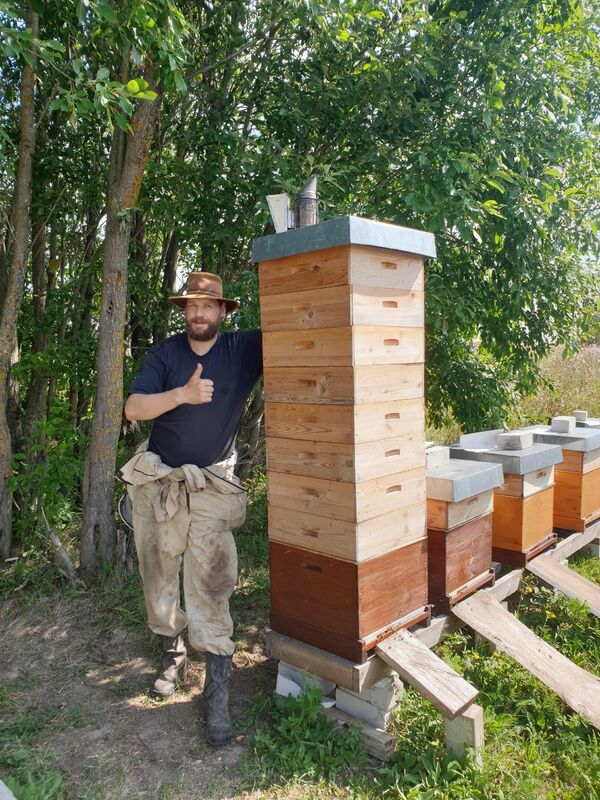 Беньяамин Форстер на пасеке