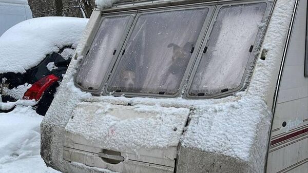 Автомобильный прицеп на Бескудниковском бульваре, где были закрыты 5 собак