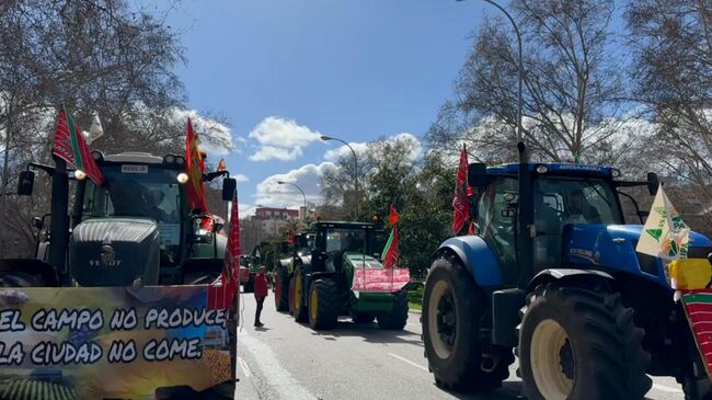 Акция протеста фермеров в Мадриде