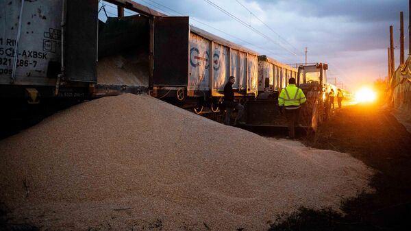 Зерно с Украины рядом с вагонами грузового состава в селе Котомеж, Польша