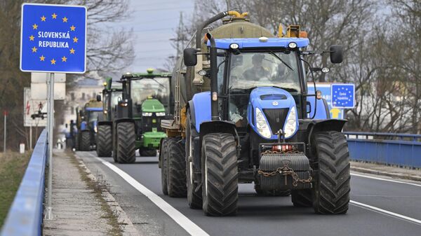 Чешские фермеры во время акции протеста на границе со Словакией