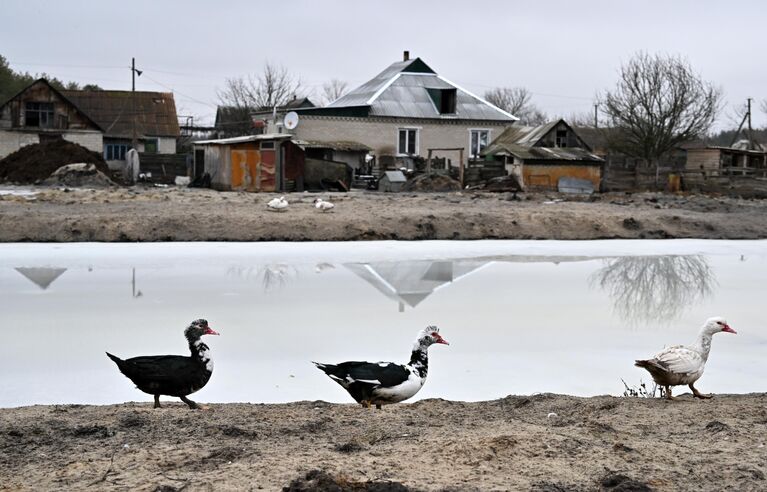 Подтопления в селе Боровское в ЛНР