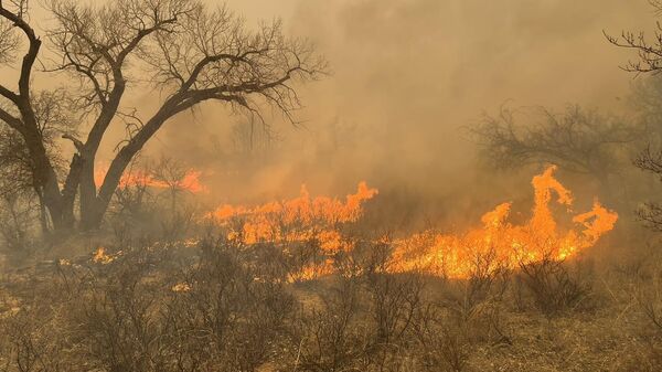Природный пожар в Техасе, США