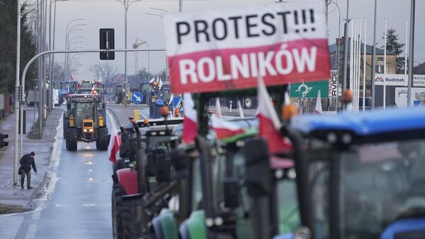 Протестующие польские фермеры. Архивное фото
