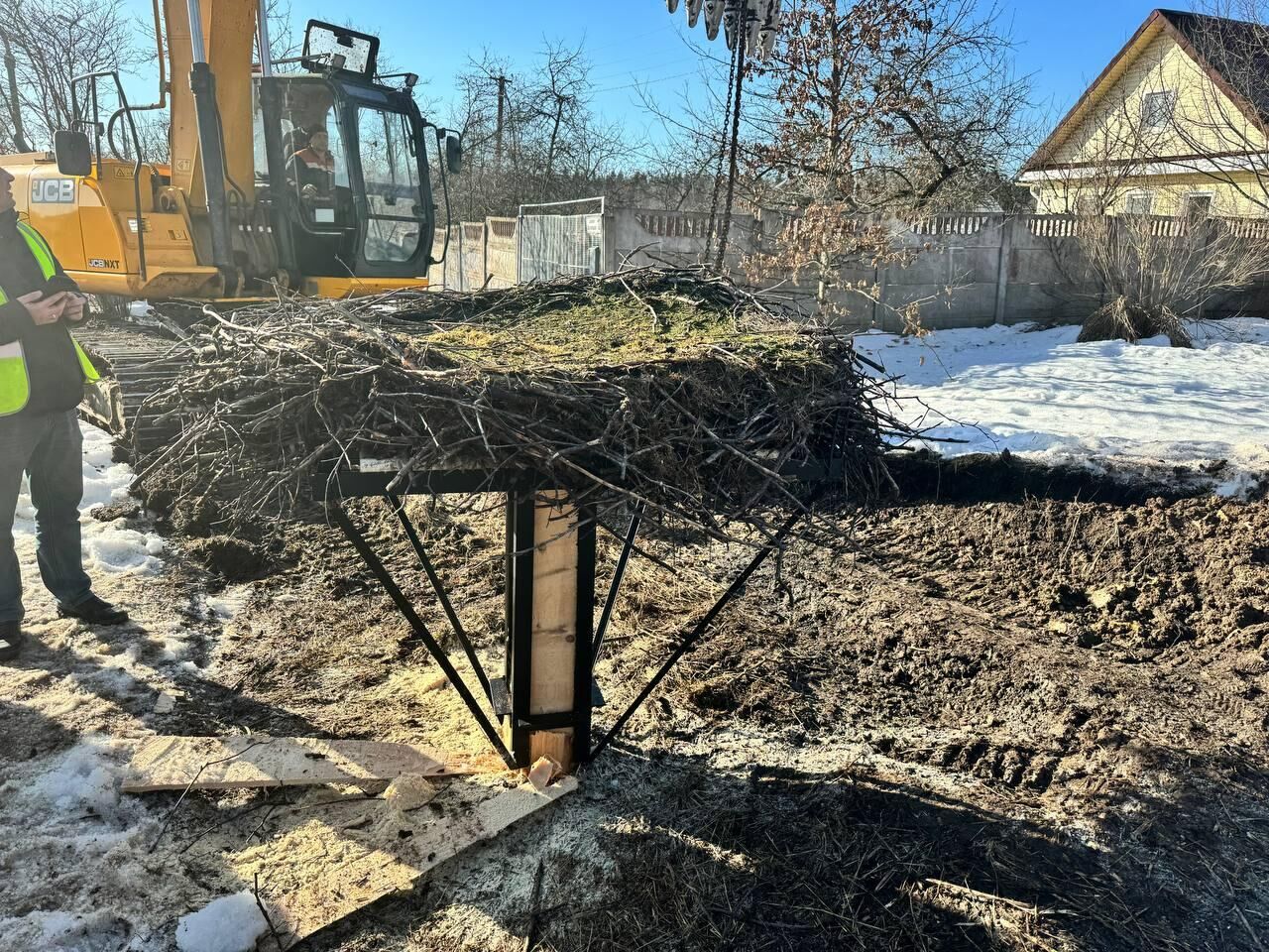 Дорожники перенесли гнездо аистов со старого дерева на новую опору в Ленинградской области в связи с капремонтом федеральной трассы Р-23 - РИА Новости, 1920, 04.03.2024