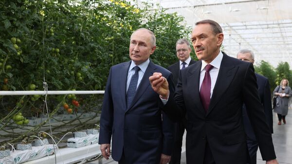 Президент РФ Владимир Путин во время посещения тепличного комплекса ООО Солнечный дар в Ставрополе