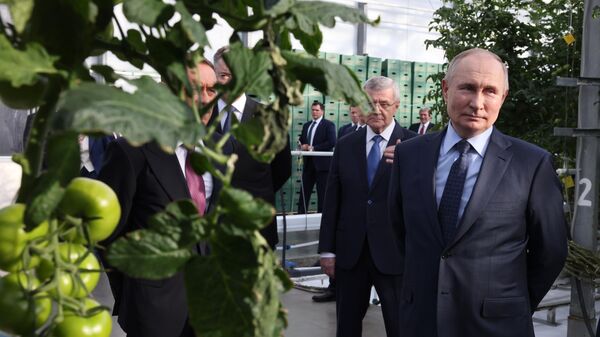 Путин назвал зависимость от зарубежной продукции в АПК ахиллесовой пятой