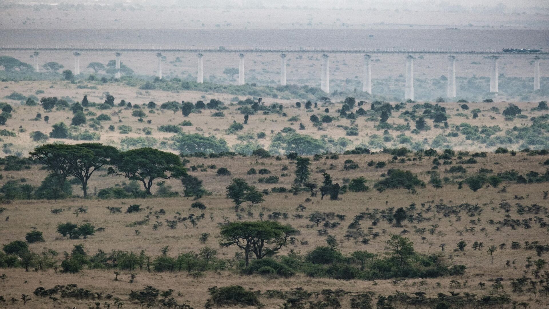 Национальный парк Найроби в Кении - РИА Новости, 1920, 05.03.2024