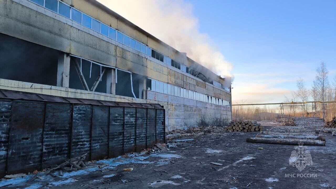 Место пожара на деревообрабатывающем предприятии в Великом Новгороде. 6 марта 2024 - РИА Новости, 1920, 06.03.2024