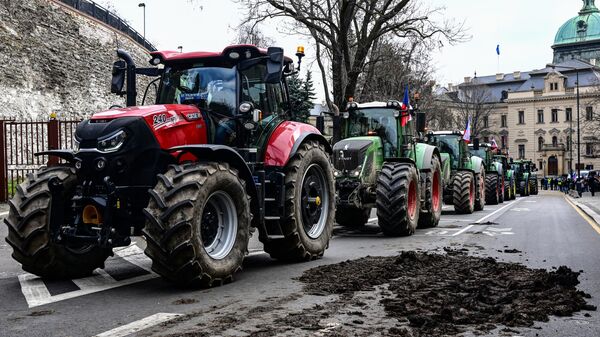Протестующие фермеры рассыпали навоз на набережной Бенеша в Праге