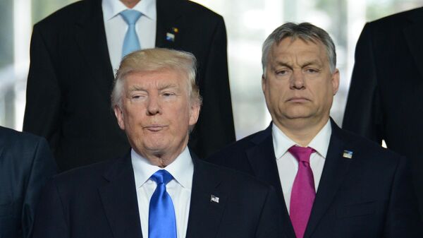 Экс-президент США Дональд Трамп  и премьер-министр Венгрии Виктор Орбан. Архивное фото