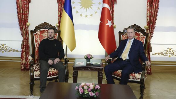 Президент Украины Владимир Зеленский и Президент Турции Реджеп Тайип Эрдоган во время их встречи во дворце Долмабахче в Стамбуле. 8 марта 2024