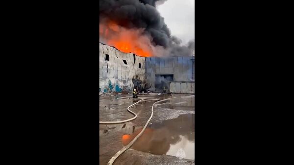 Работа МЧС на месте крупного пожара в Ленобласти