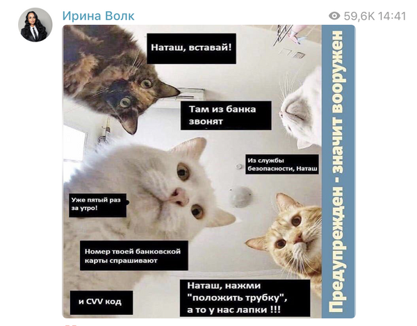 Скриншот поста, выложенного на странице Ирины Волк в Telegram Скриншот поста, выложенного на странице Ирины Волк в Telegram