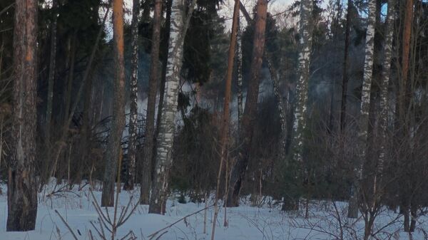 Кадры с места упавшего самолета Ил-76 под Иваново