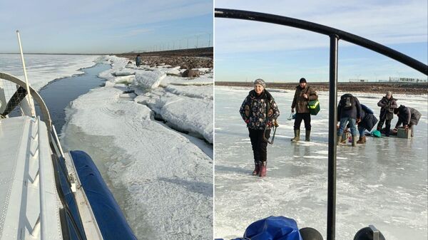 Рыбаки-любители, эвакуированные со льда Финского залива спасателями Поисково-спасательной службы Санкт-Петербурга