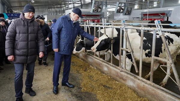 Губернатор Кемеровской области на открытии нового корпуса животноводческого комплекса в селе Ваганово