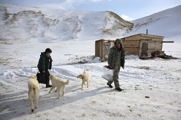 Члены участковой избирательной комиссии на стоянке чабанов в горах Кош-Агачского района Республики Алтай