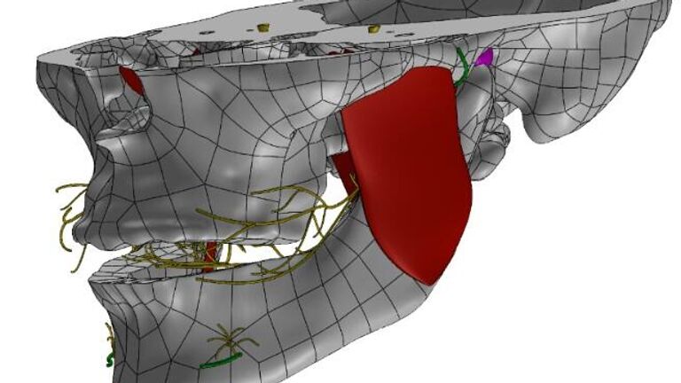 NURBS-модель исследуемого объекта в ПО SolidWorks